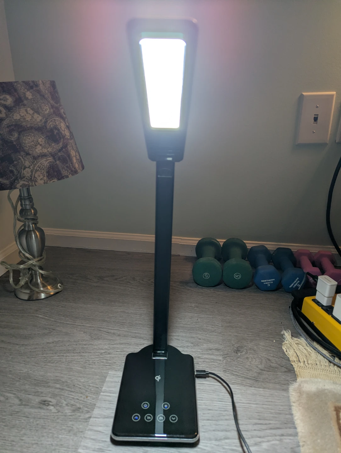 BlueHive LED Desk Lamp