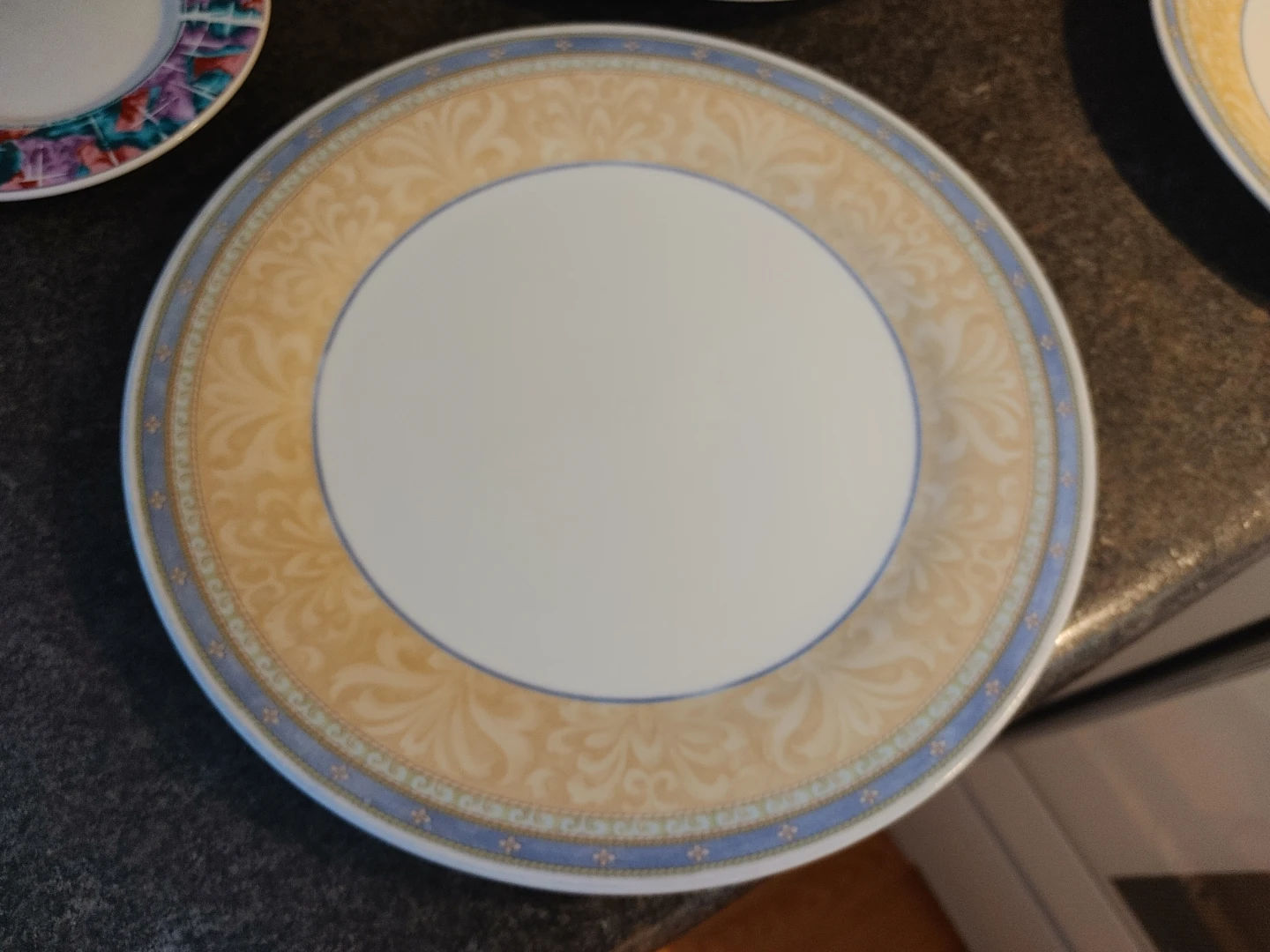 3  Dinner Plates
