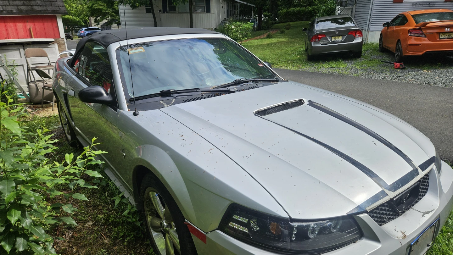 Ford Mustang Convertible. - photo 2