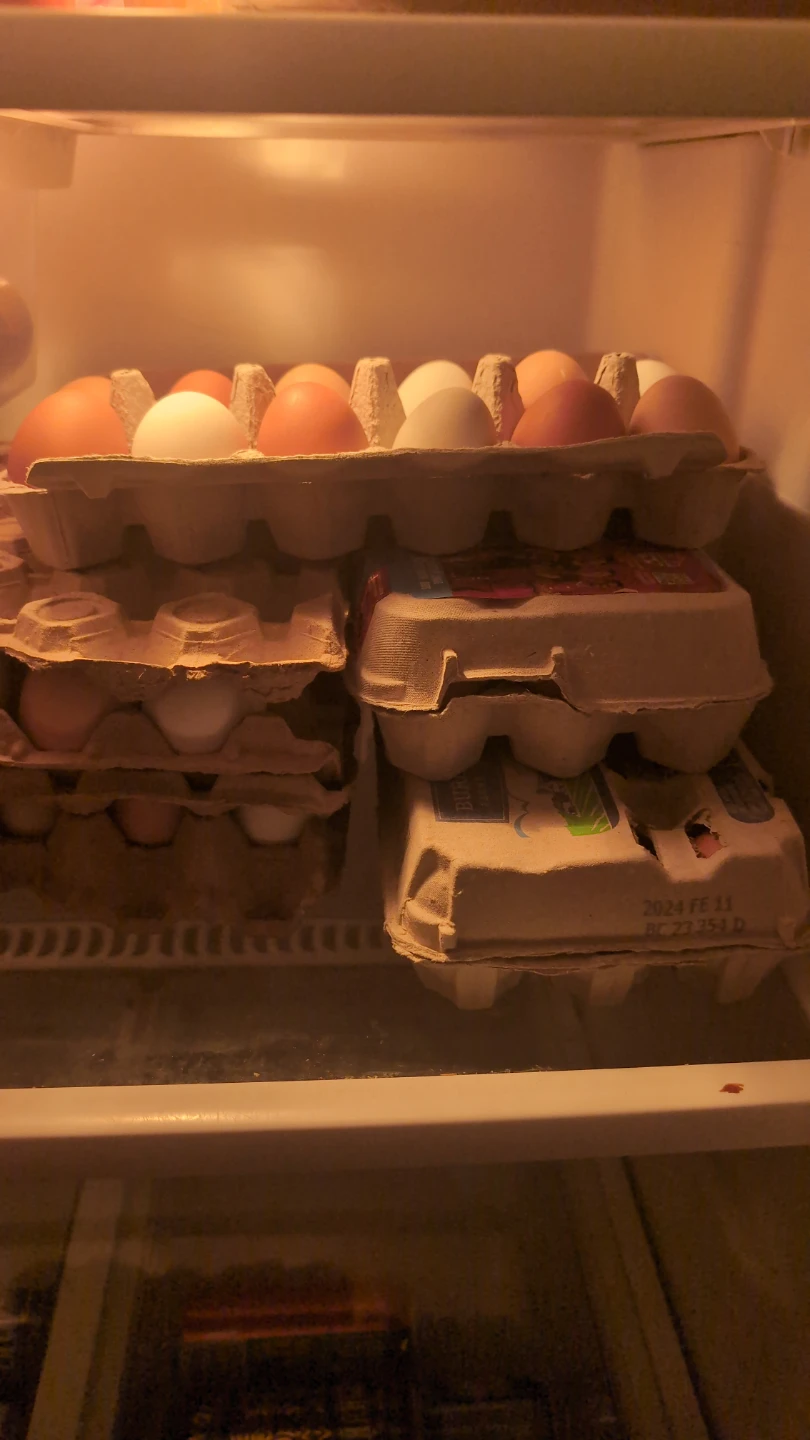 Farm eggs