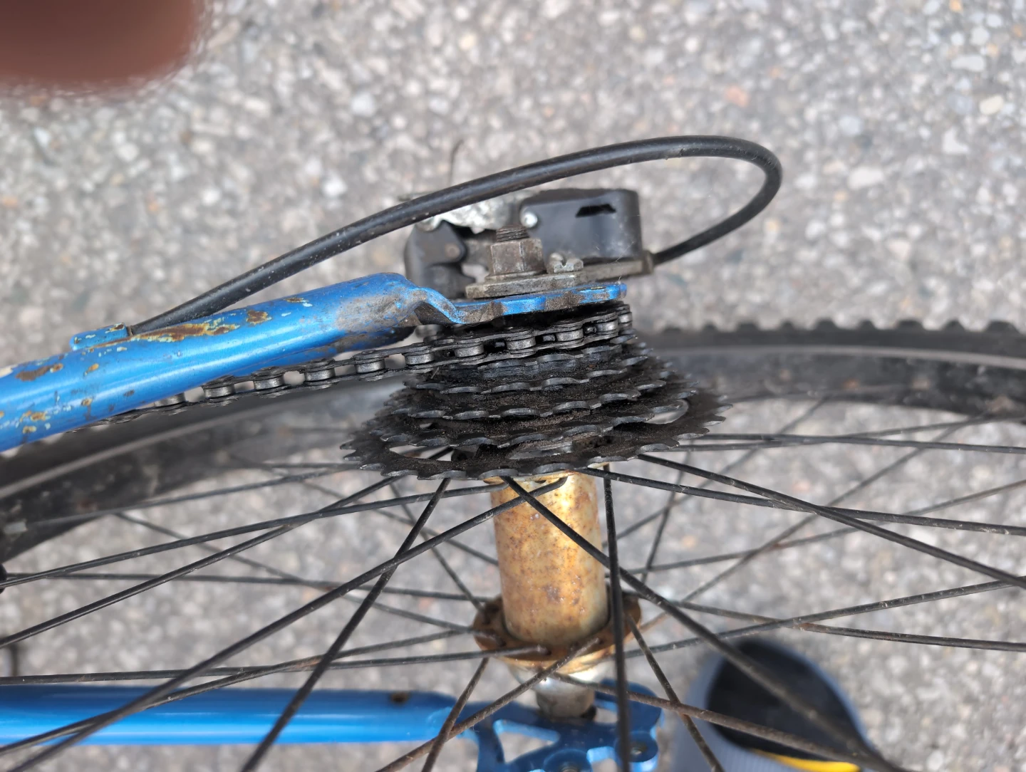 Nakamura Ivy Mountain Bike - photo 3