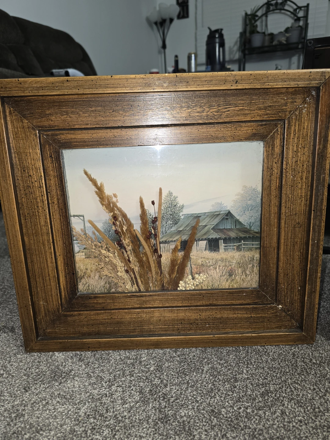 Large Pictures — NEED GONE ASAP - photo 3