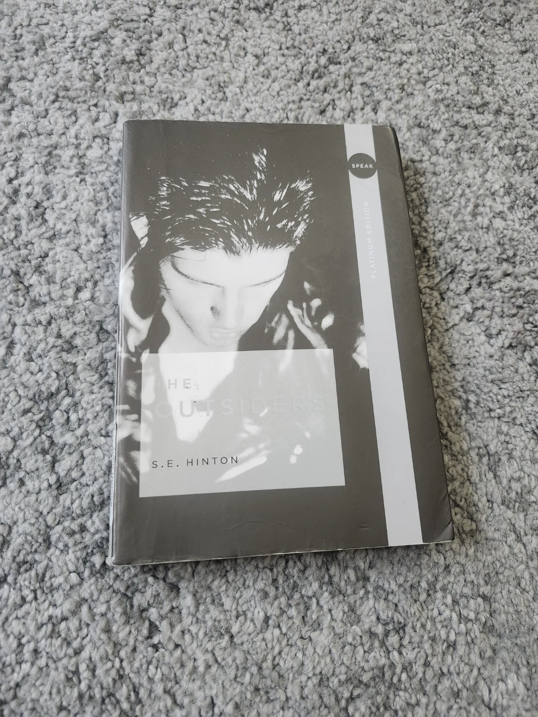 The Outsiders by S.E. Hinton