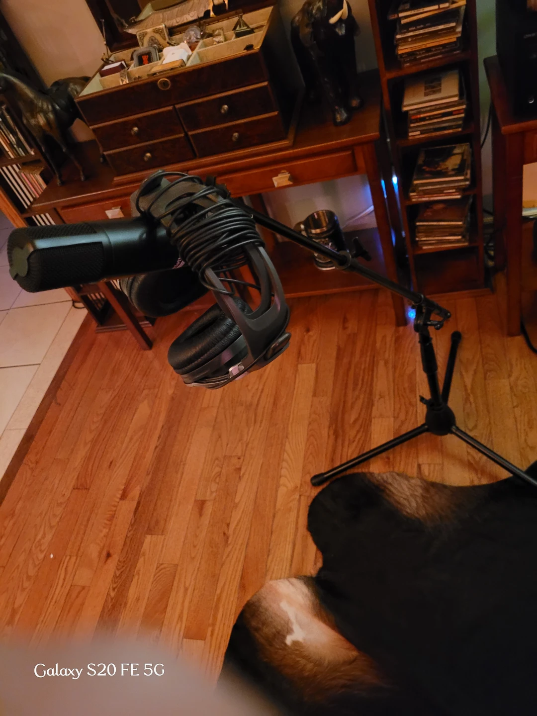 Sony Headphones and Microphone Bundle - photo 4