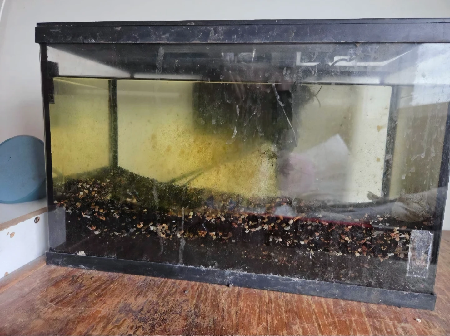 Two 10gal tanks - photo 3