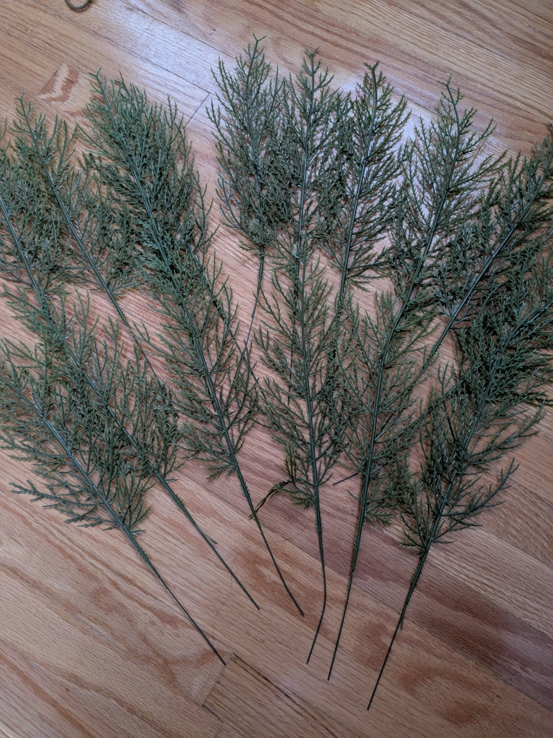Set of 16 Artificial Cedar Greenery Stems