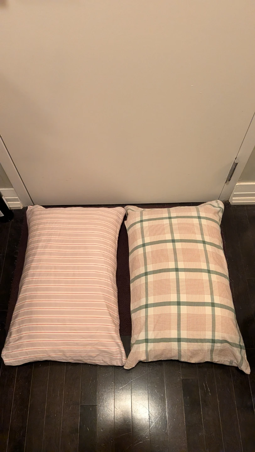 Two Sealy Posturepedic Pillows w/ Cases - photo 3