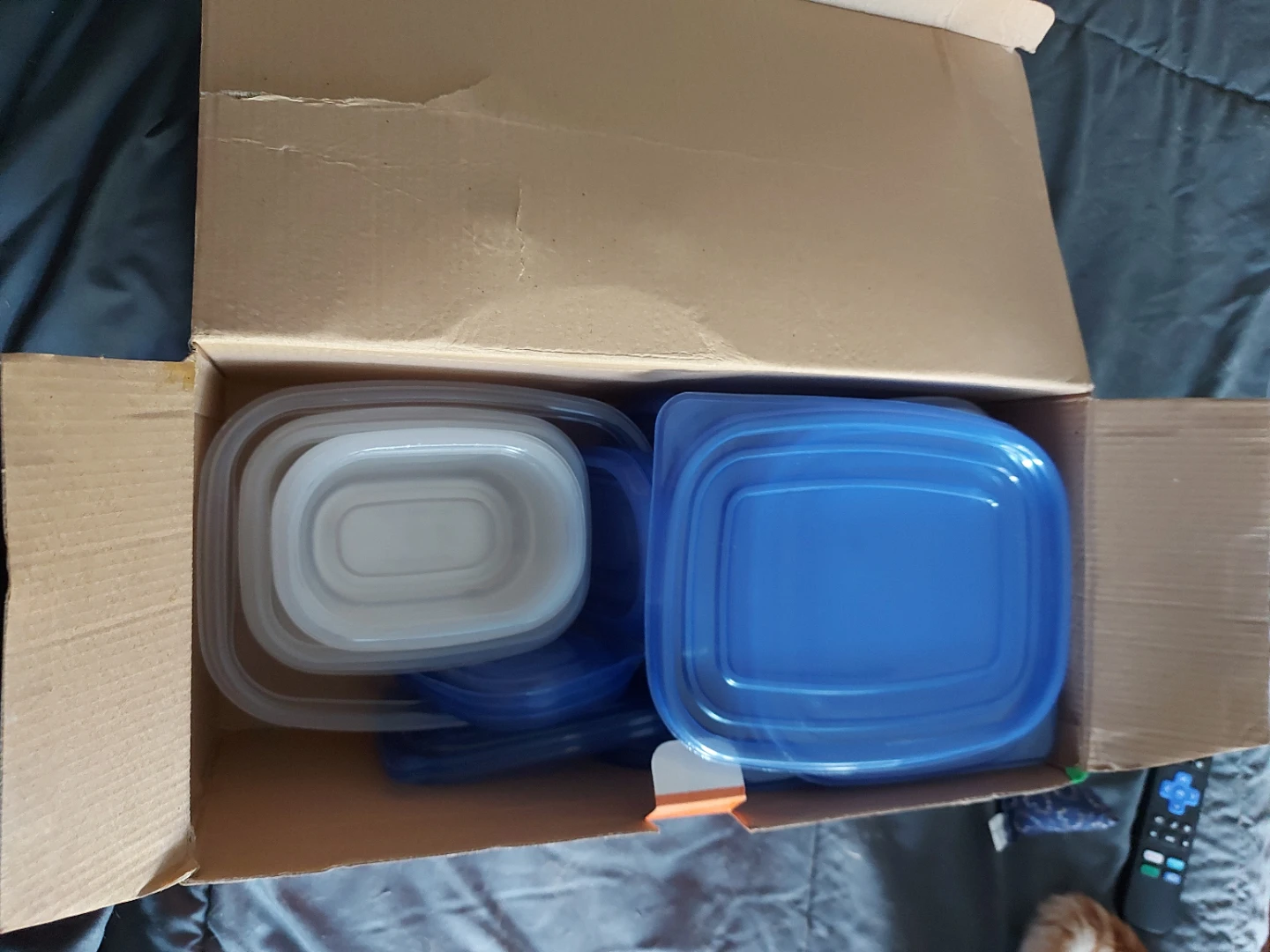 Proctor Silex 50 Piece Storage Set - photo 3
