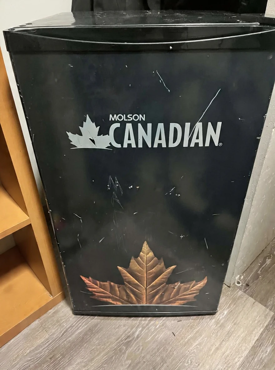 Molson Canadian Mini Fridge (Large) — Works Great