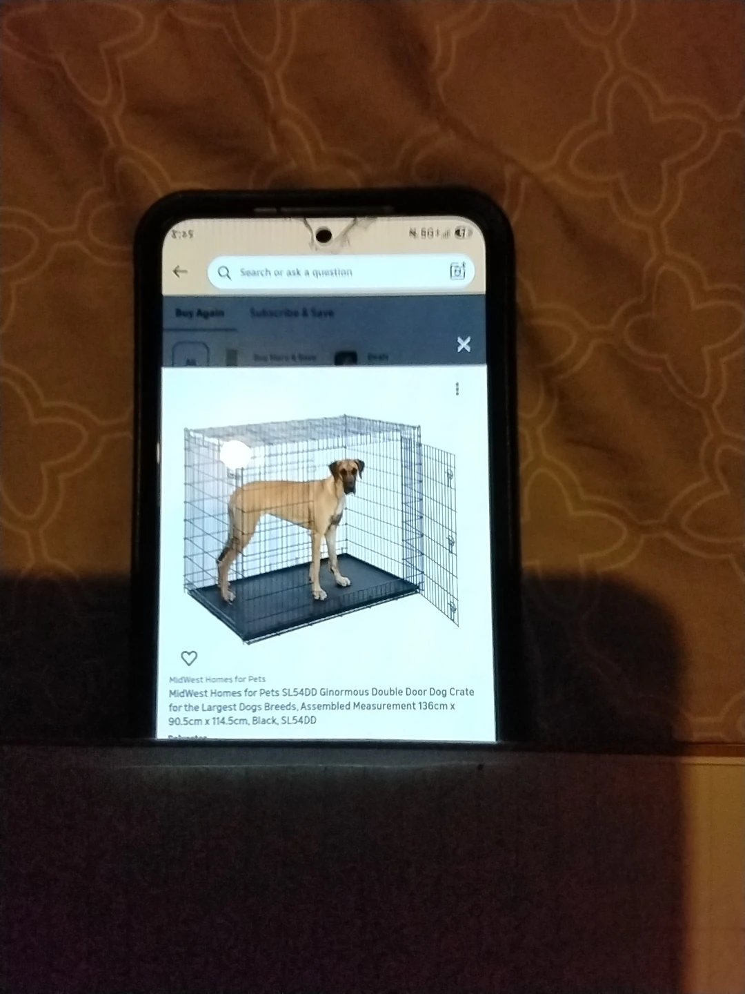 Large dog supplies and crate