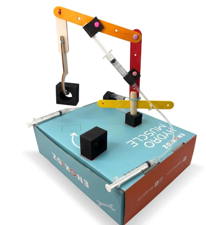 Enokidz Hydro Muscle STEM Building Kit