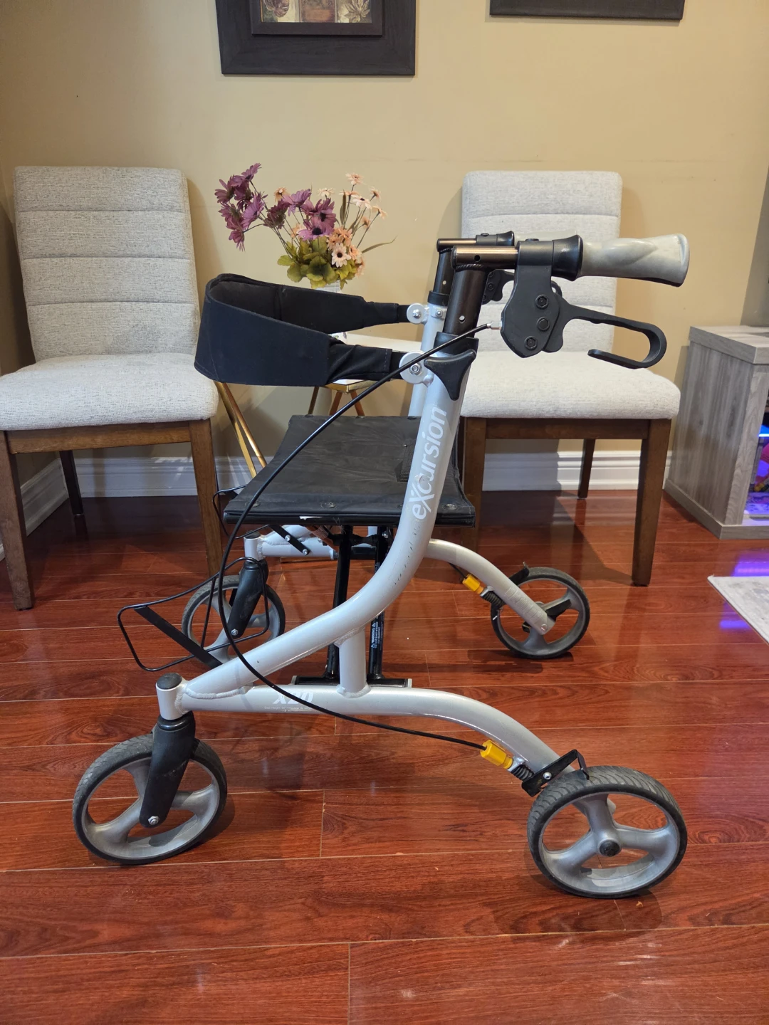 Airgo Excursion Walker - photo 3