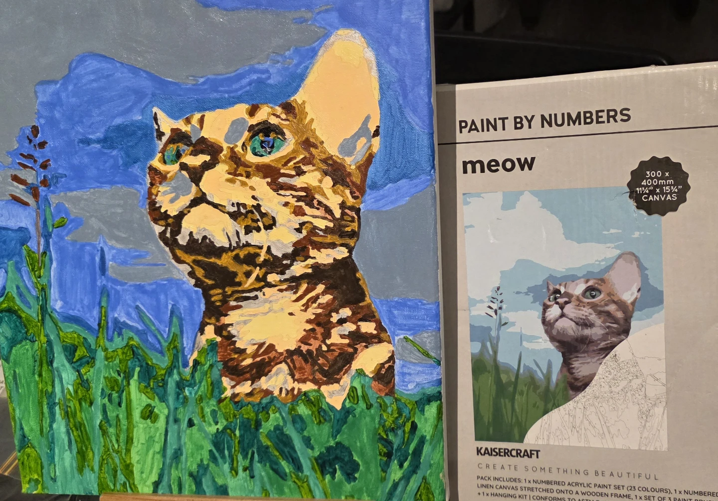 Handpainted Meow Paint by Numbers - photo 2