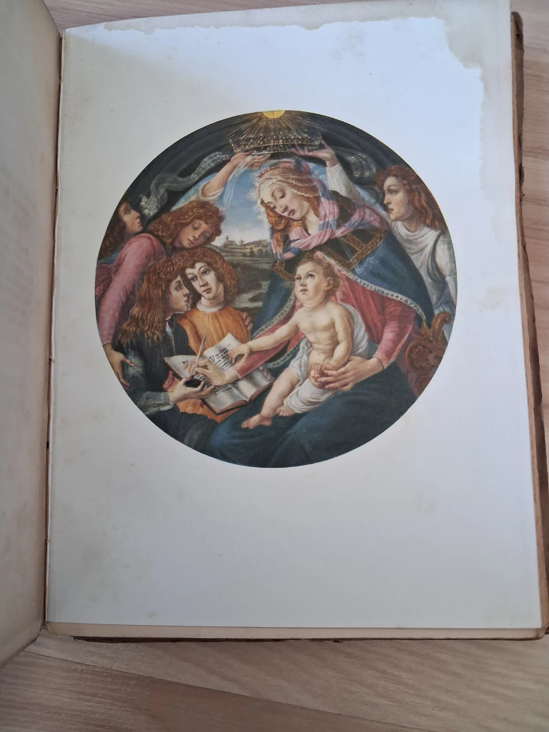 Masterpieces in Colour: Botticelli - photo 5