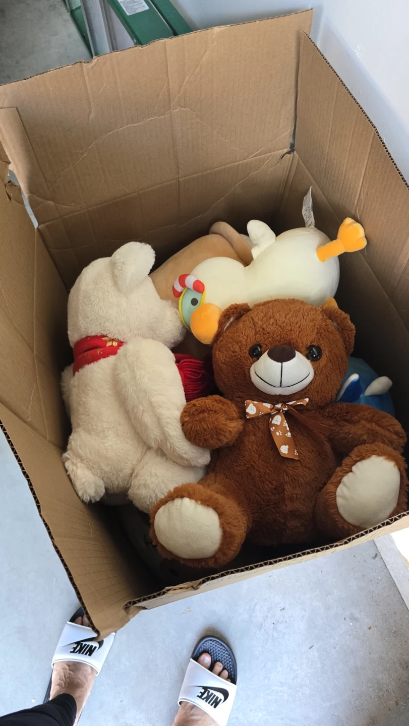 Assorted Plush Toys Bundle