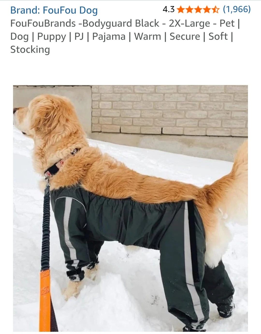 FouFou Dog Bodyguard Black Pants - 2X-Large - photo 2