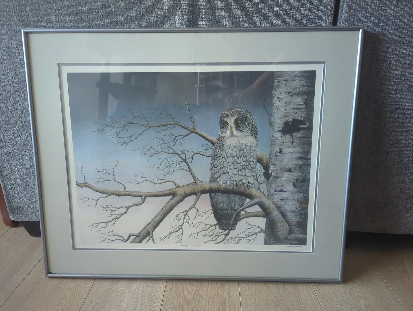 Gray Owl Limited Print
