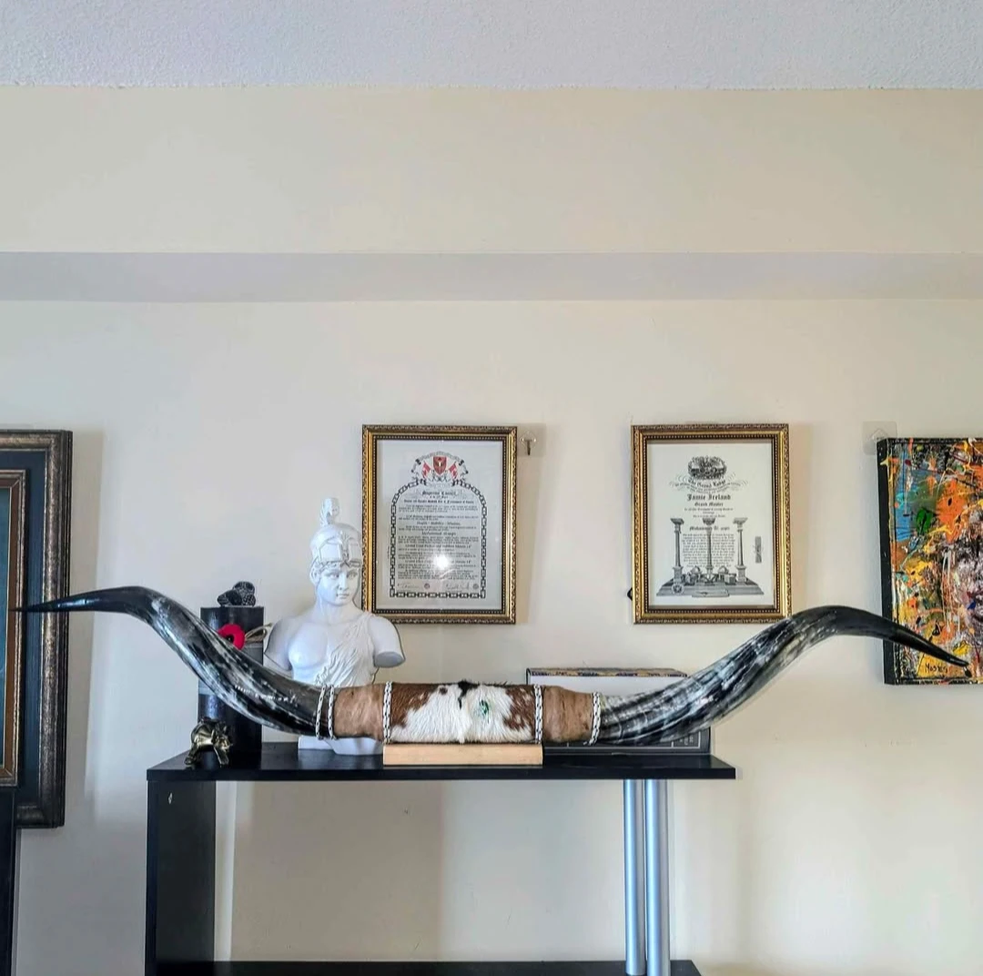 Authentic African Ankole Watusi Horn Mount | Genuine Longhorn - photo 4