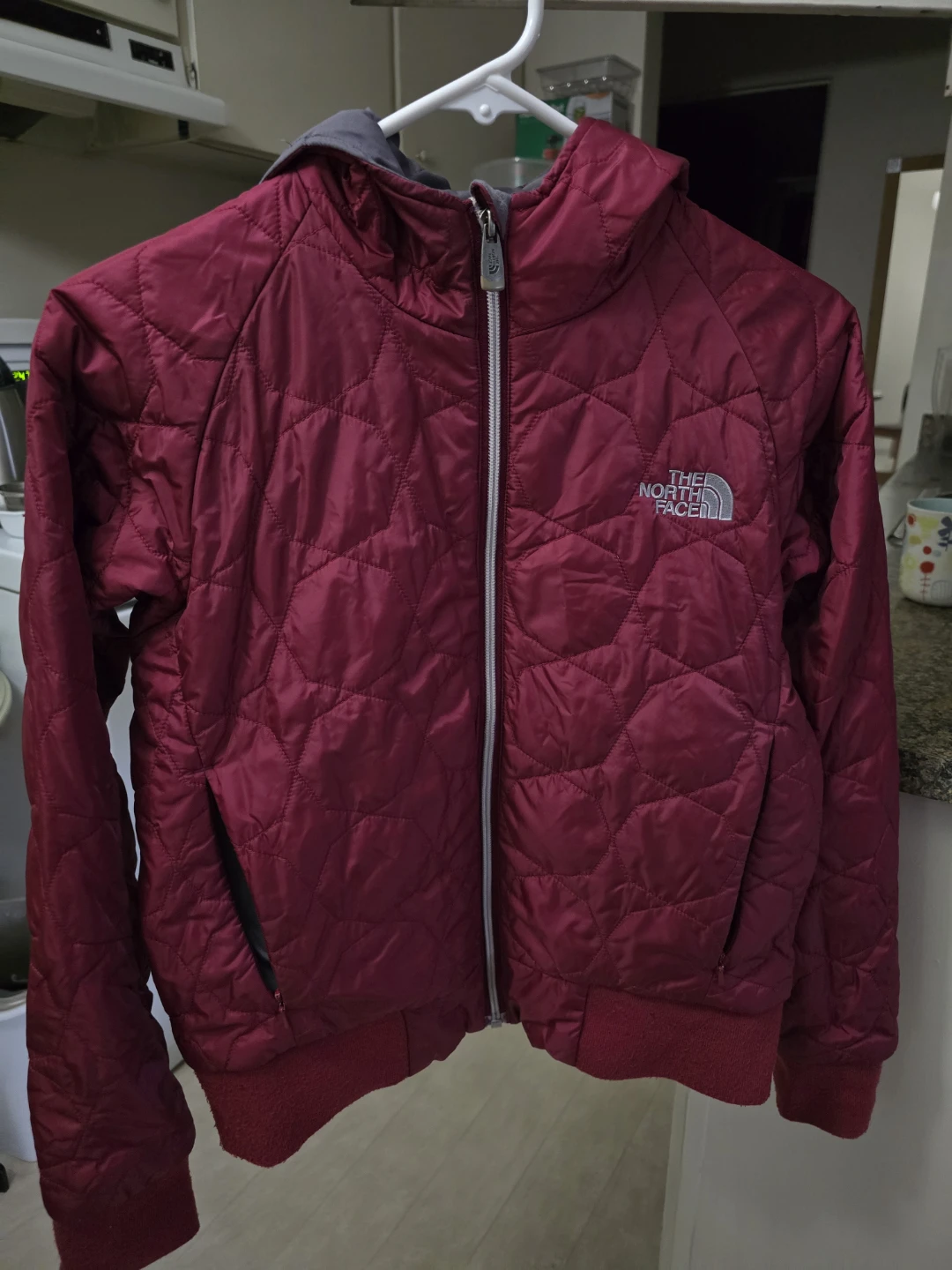 The North Face Hooded Quilted Jacket