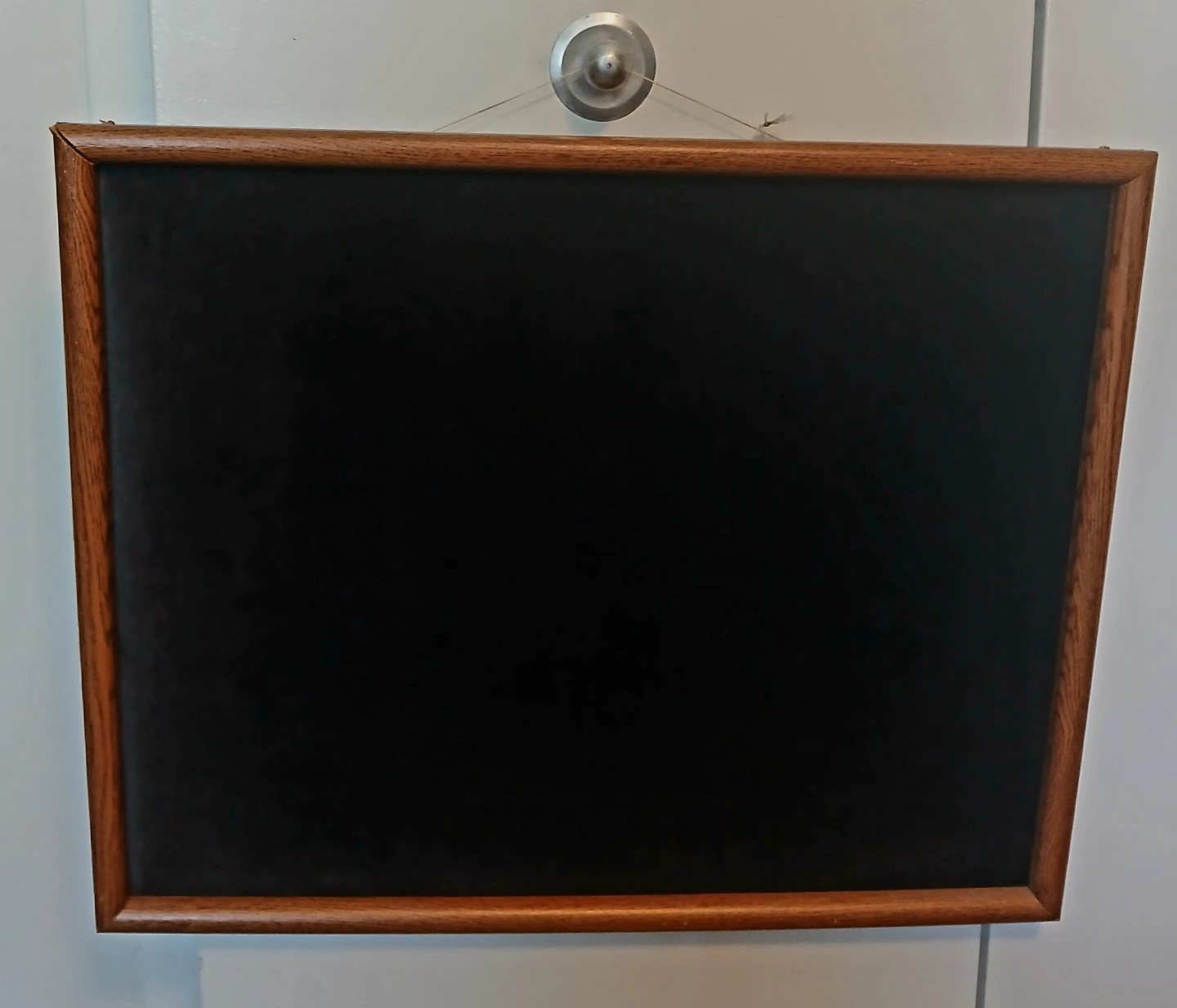 Large Wall display case with wooden frame