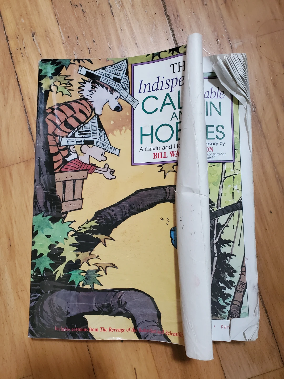 The Indispensable Calvin and Hobbes Treasury