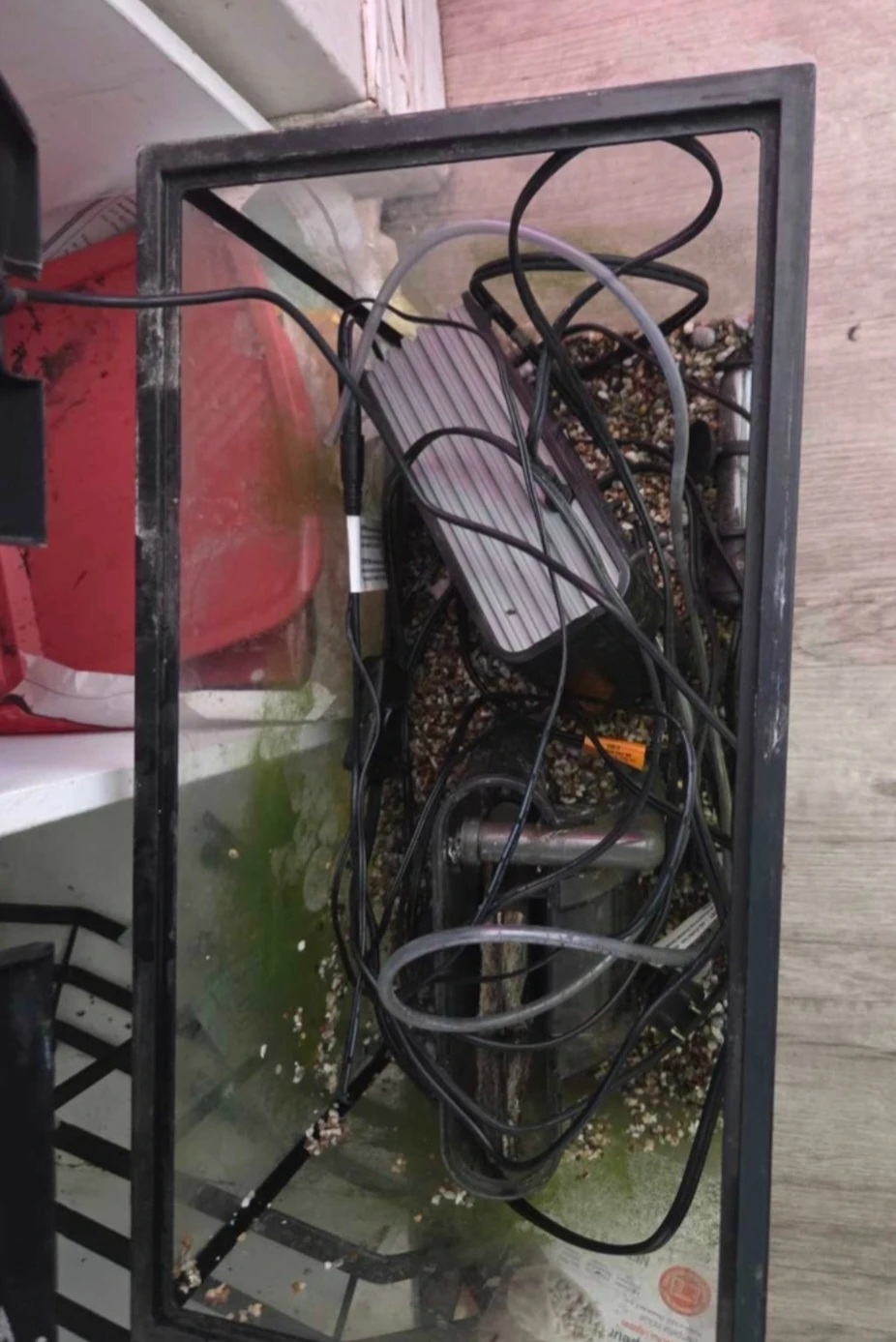 Two 10gal tanks - photo 2