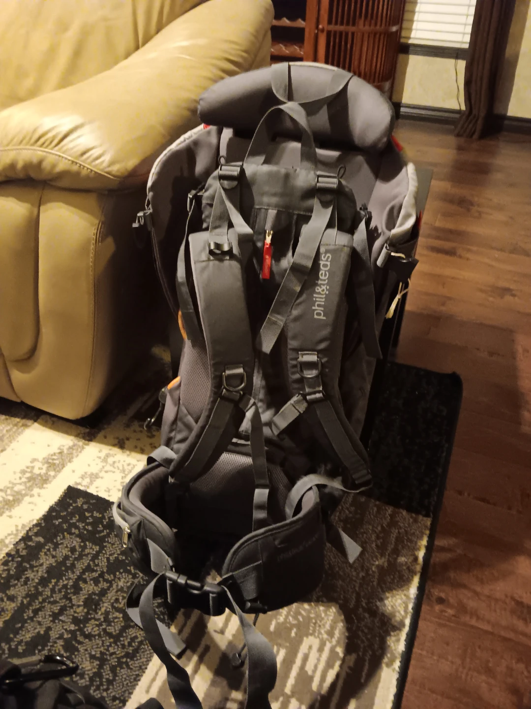 Phil and Ted's baby carrier