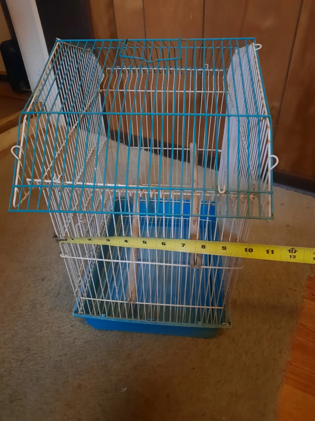 Bird cage - photo 4