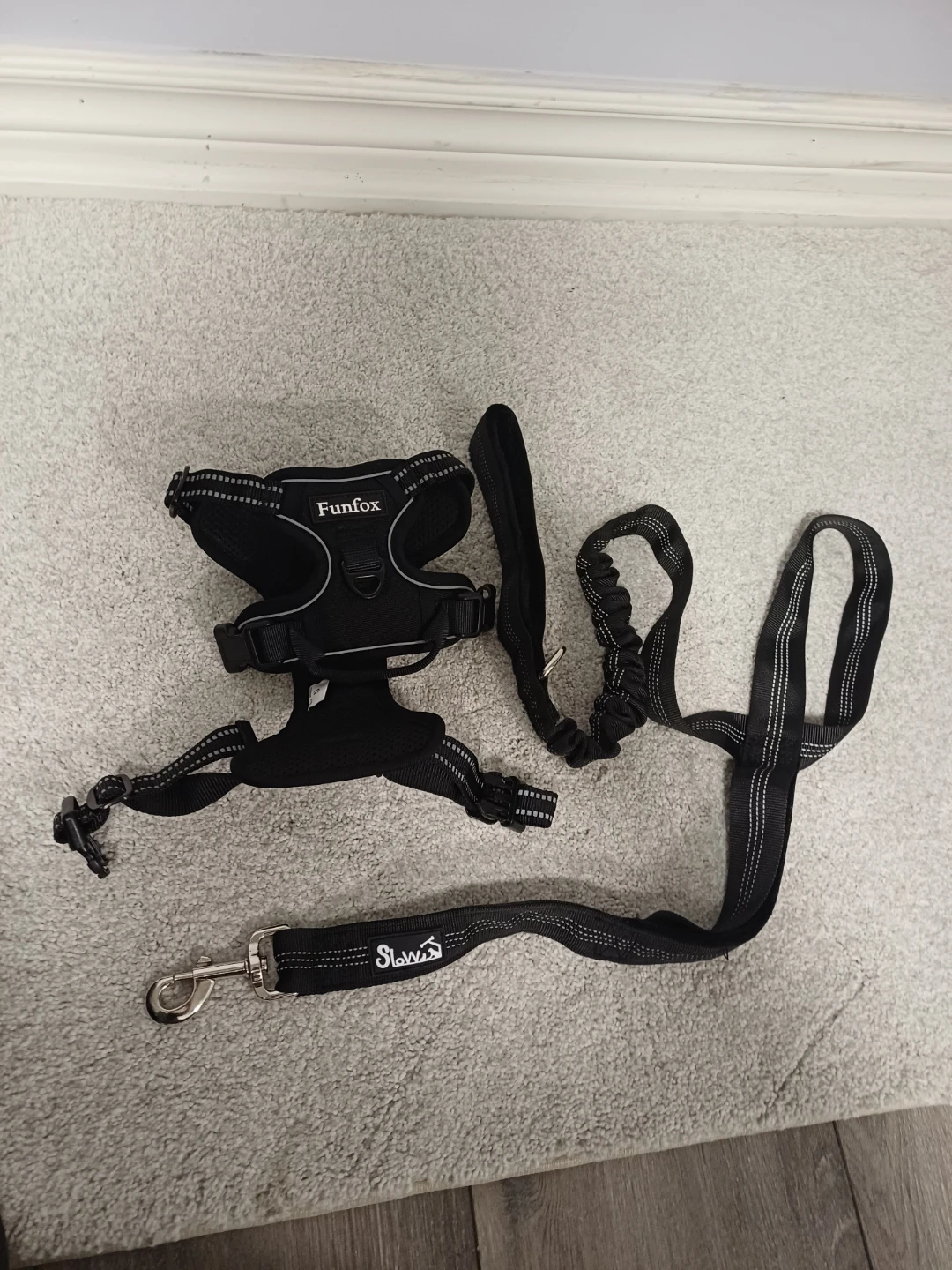 Funfox Dog Harness and Leash Set - Small