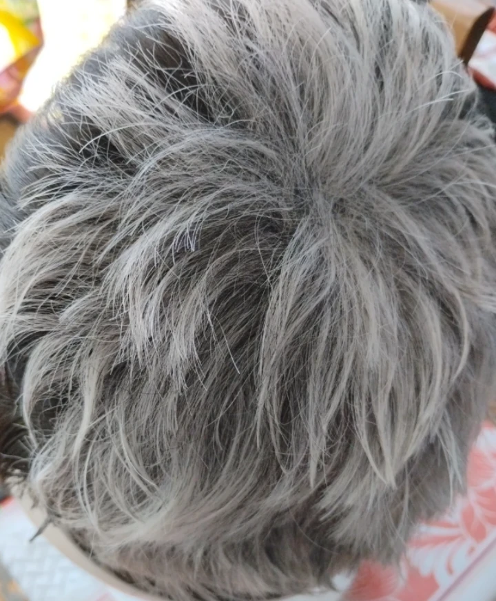 Halloween Short Salt and Pepper Men's Toupee - photo 4