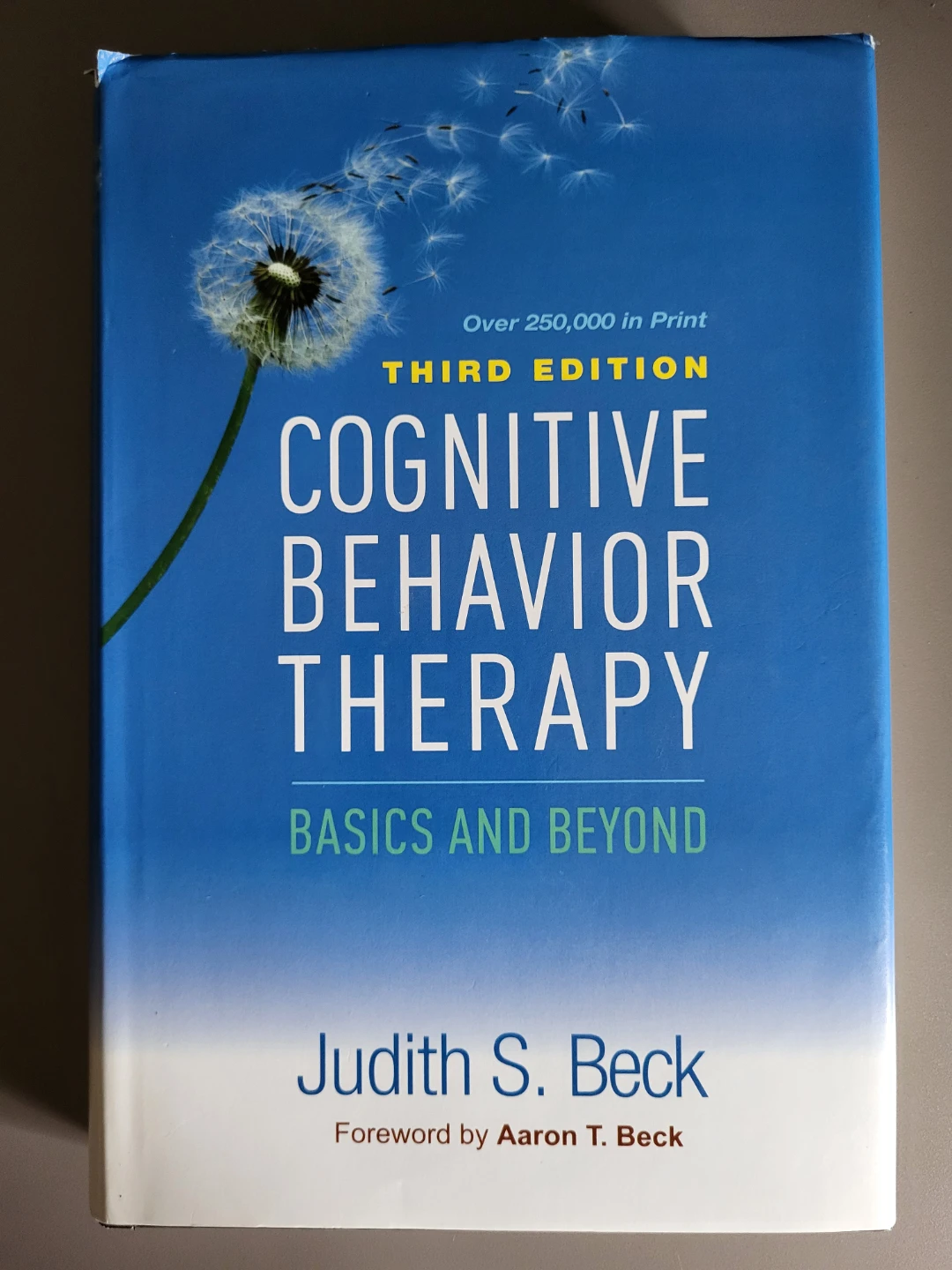 Cognitive Behavior Therapy: Basics and Beyond 3rd Ed