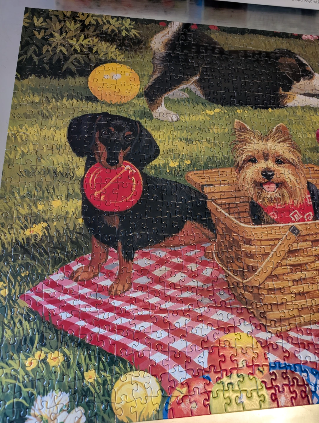 At The Park 1000 Piece Jigsaw Puzzle 🧩 - photo 4