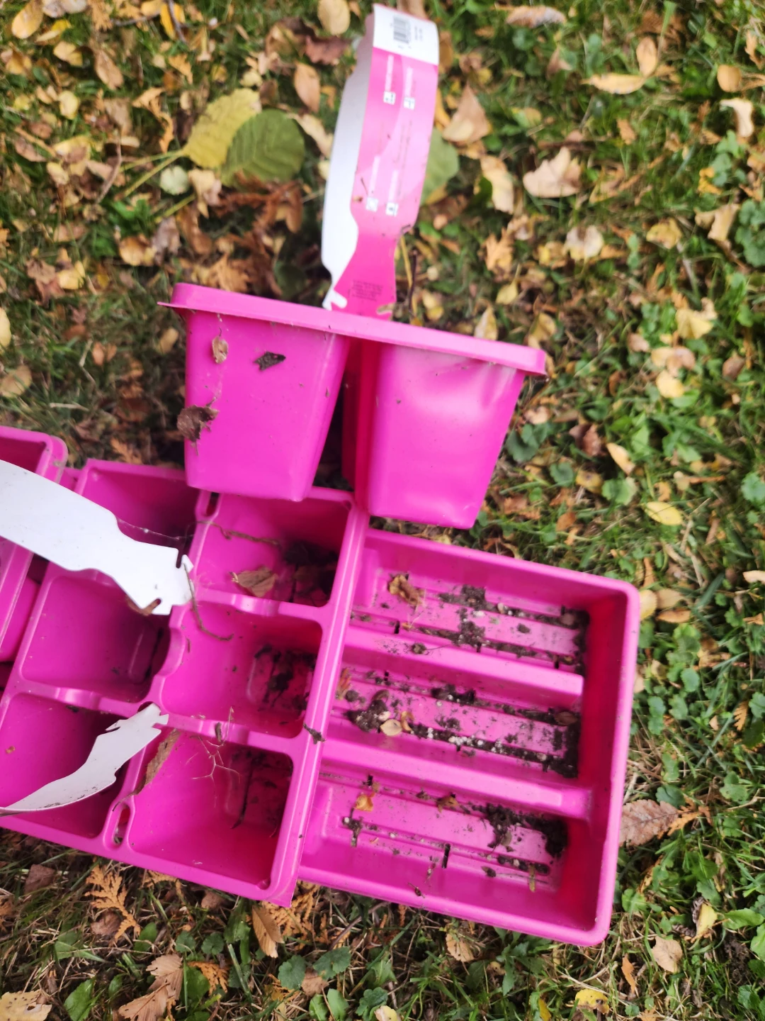 Pink Plastic Seedling Trays - photo 5