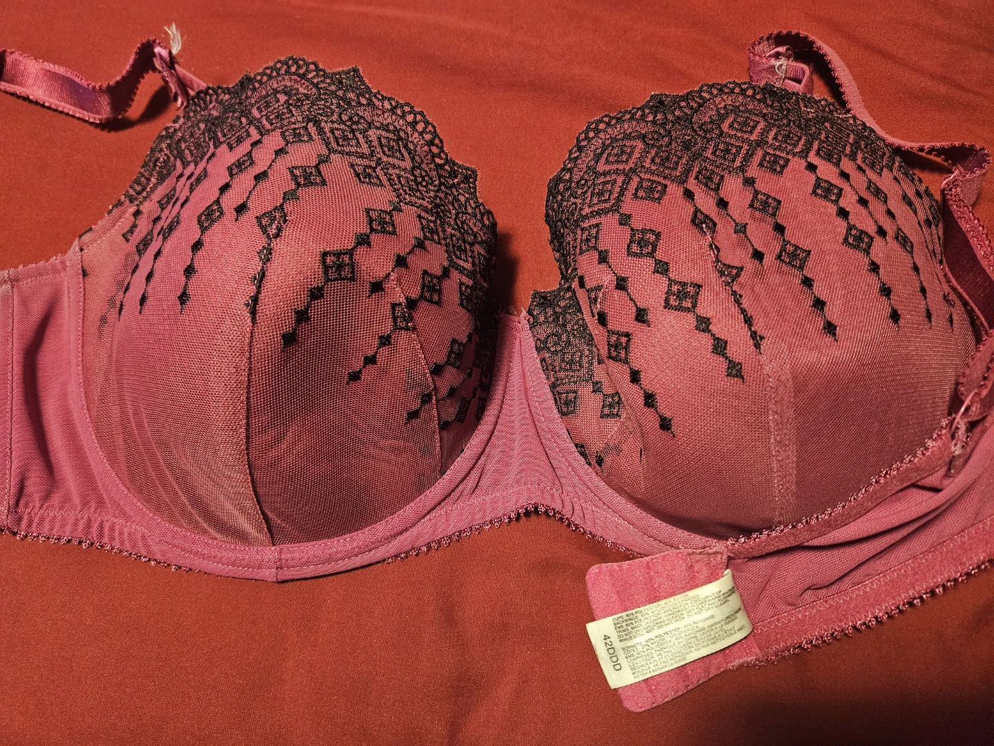 Lane Bryant Bra 42DDD