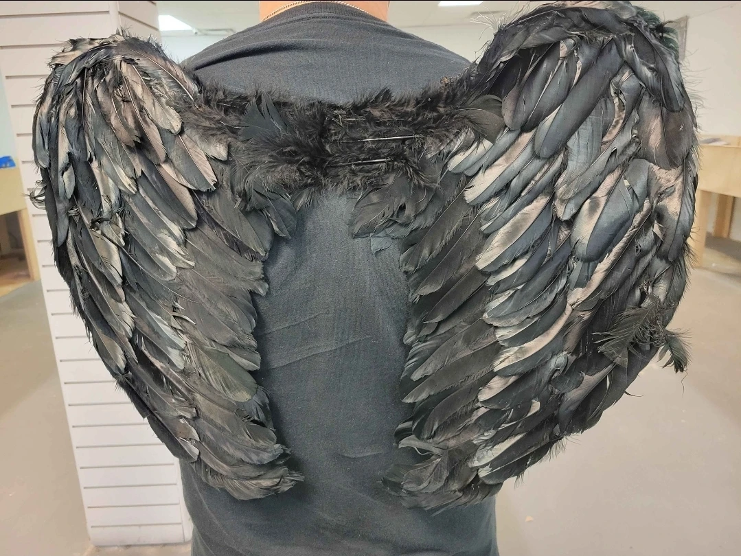 Adult size Black Feather Wings Costume Accessory