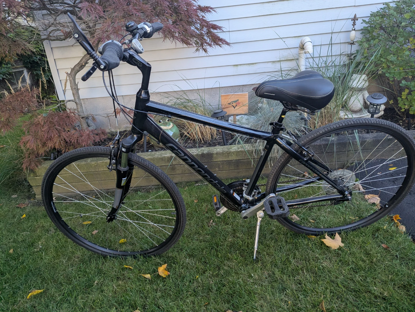 Bike. Cannondale L frame