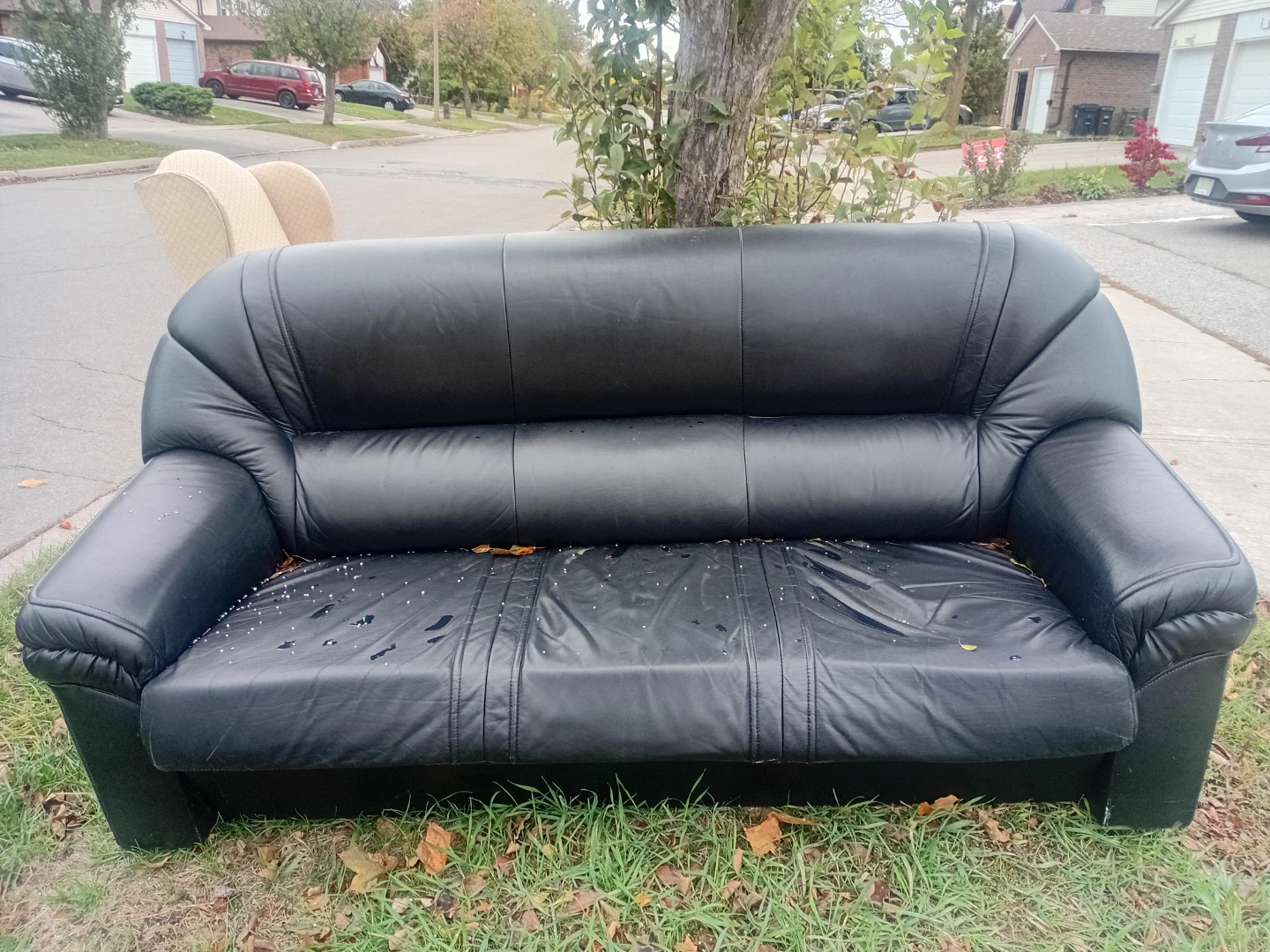 Black Leather Sofa
