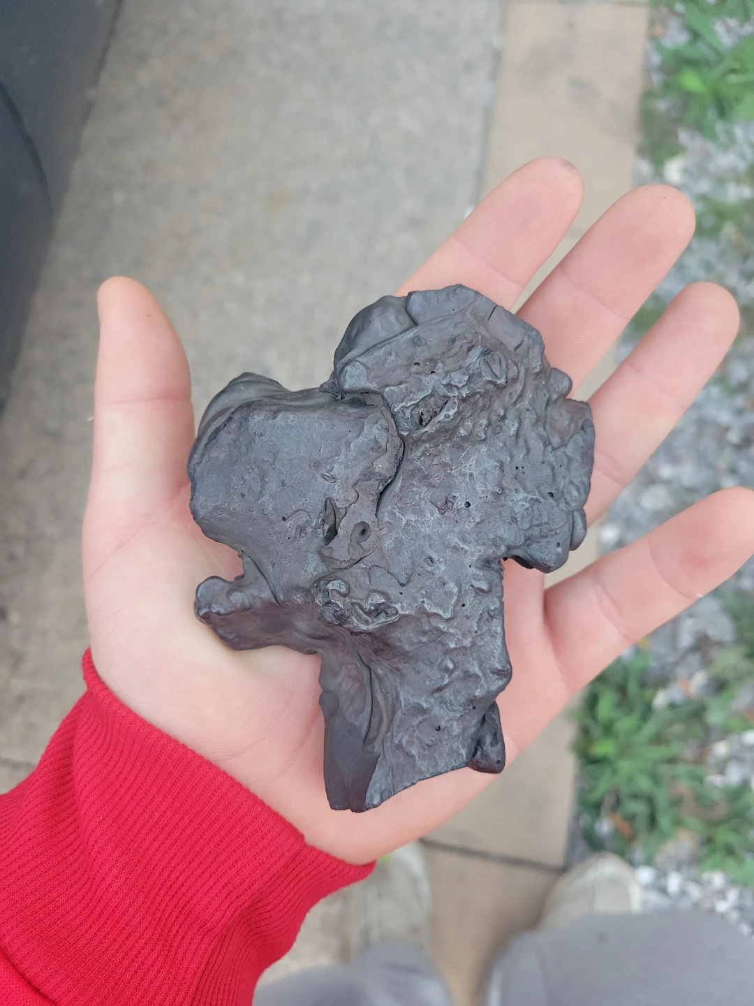 A metallic stone that looks like a dog.