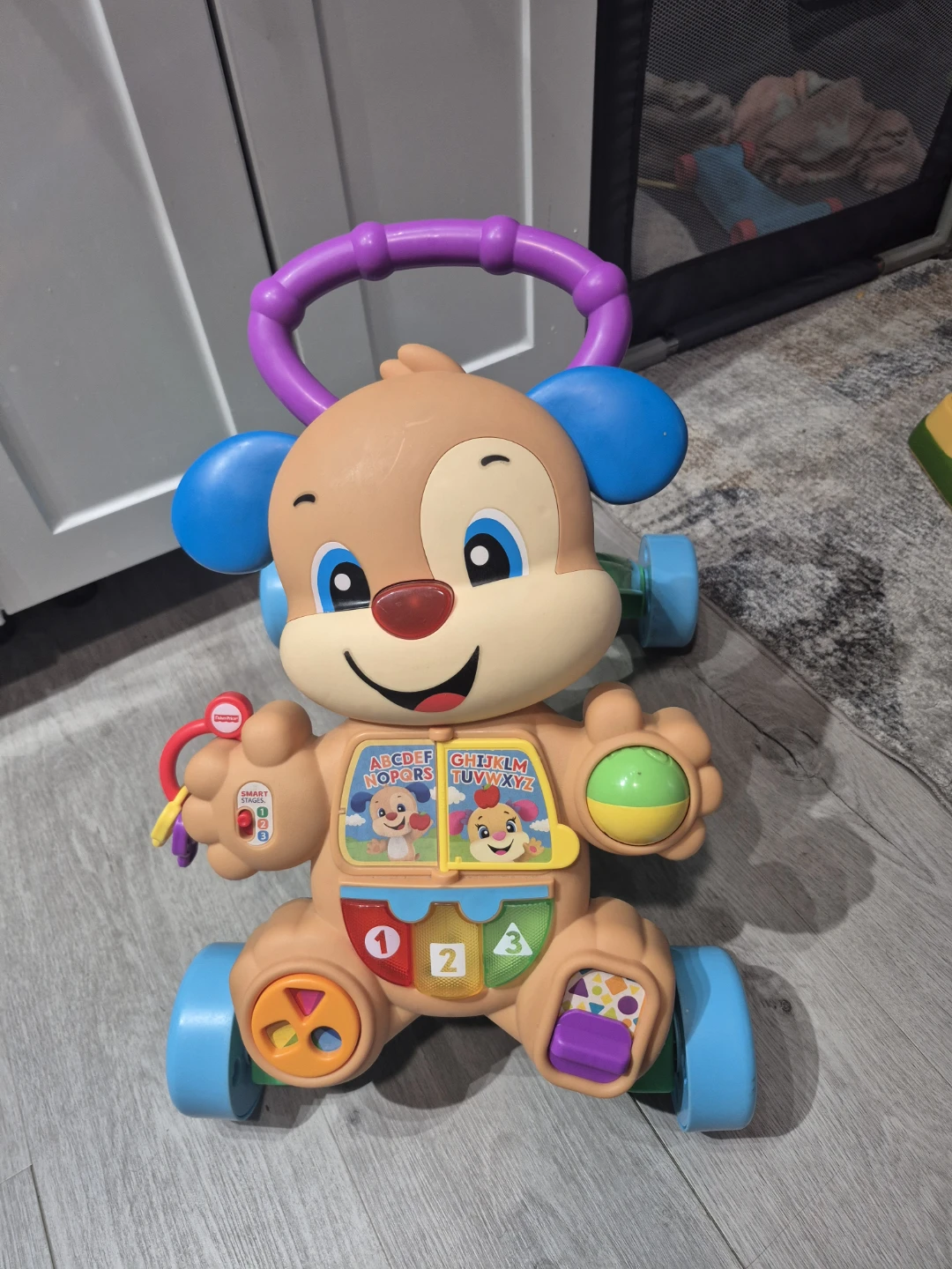 Fisher-Price Puppy Walker