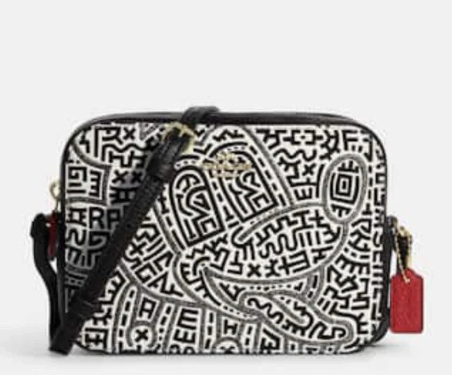 Coach Camera Bag in Graphic Print