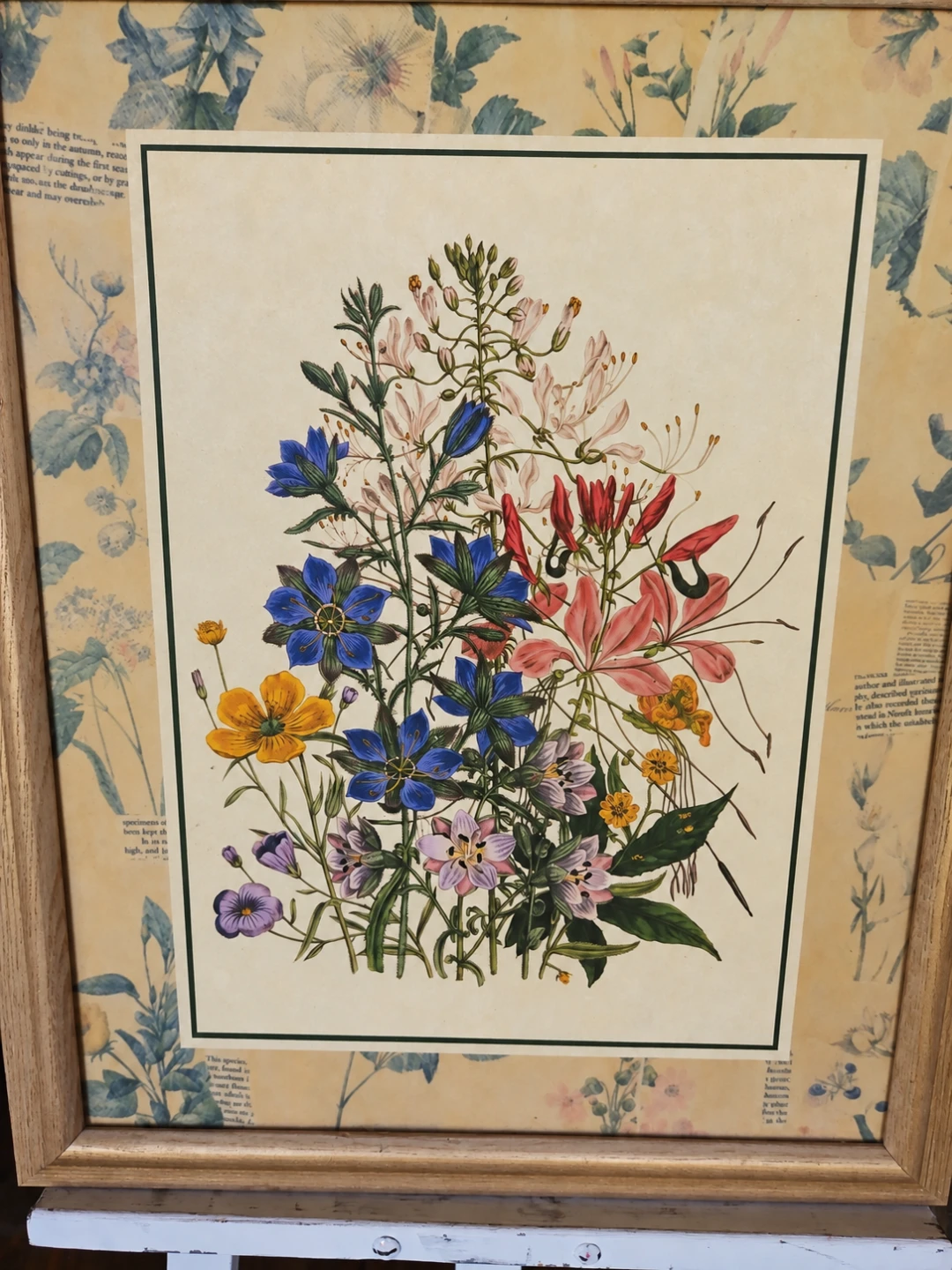 Vintage Framed Jane Loudon Ladies Botanical Garden - photo 4
