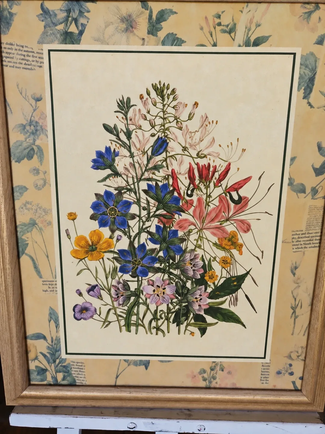 Vintage Framed Jane Loudon Ladies Botanical Garden - photo 4
