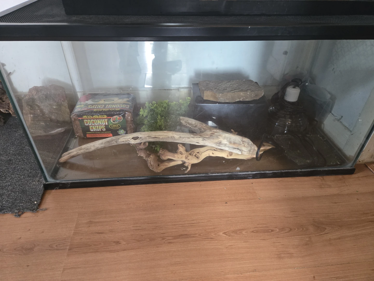 Glass Reptile Terrarium Tank 40 gal topfin