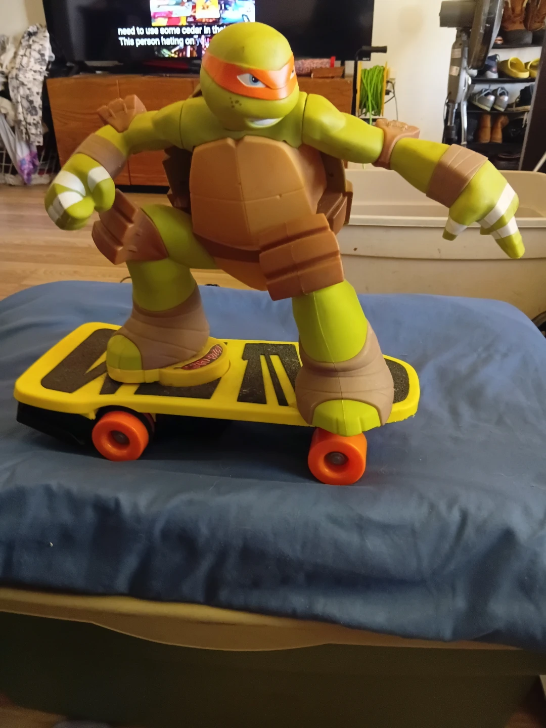 Teenage Mutant Ninja Turtles Michelangelo on Skateboard