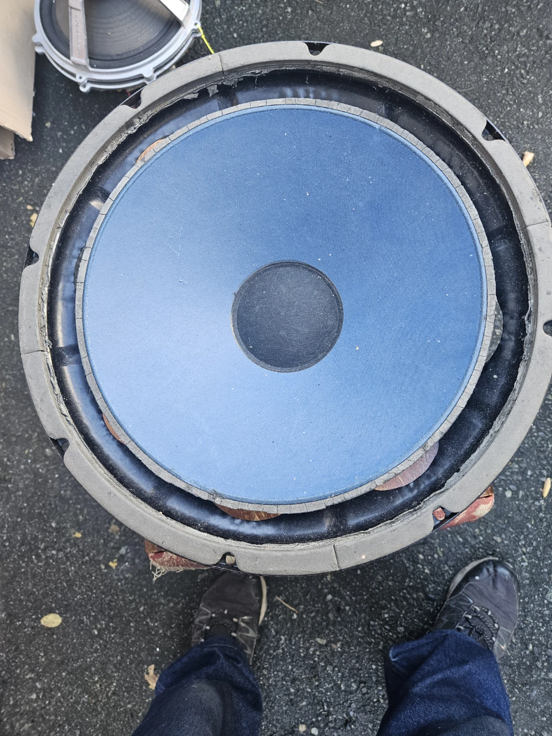 Peerless Audio 12-inch woofer - photo 2