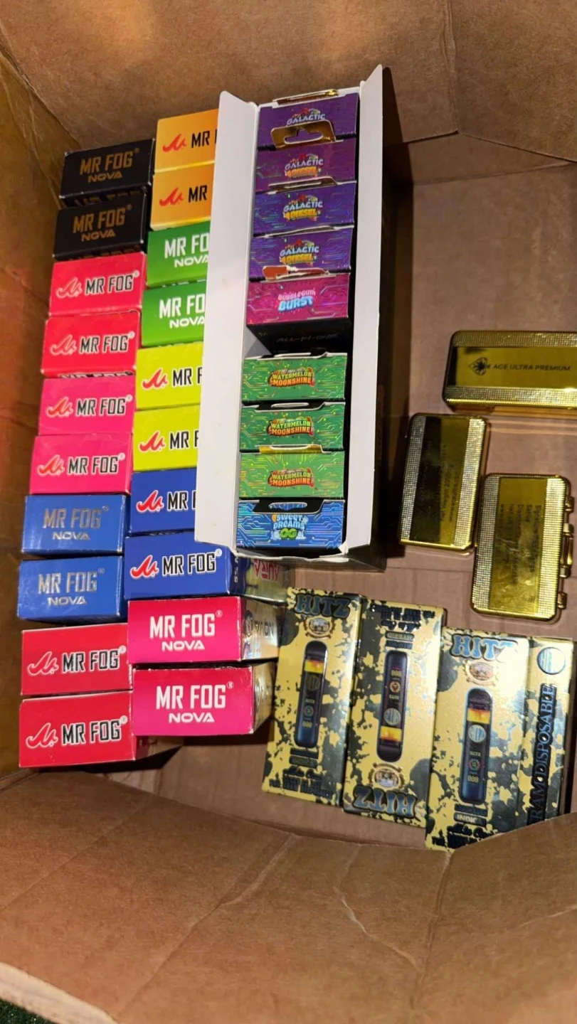 Mr Fogggy Nova and Hitz beauty