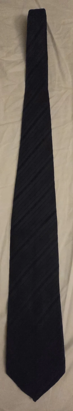 Bisse navy blue silk tie