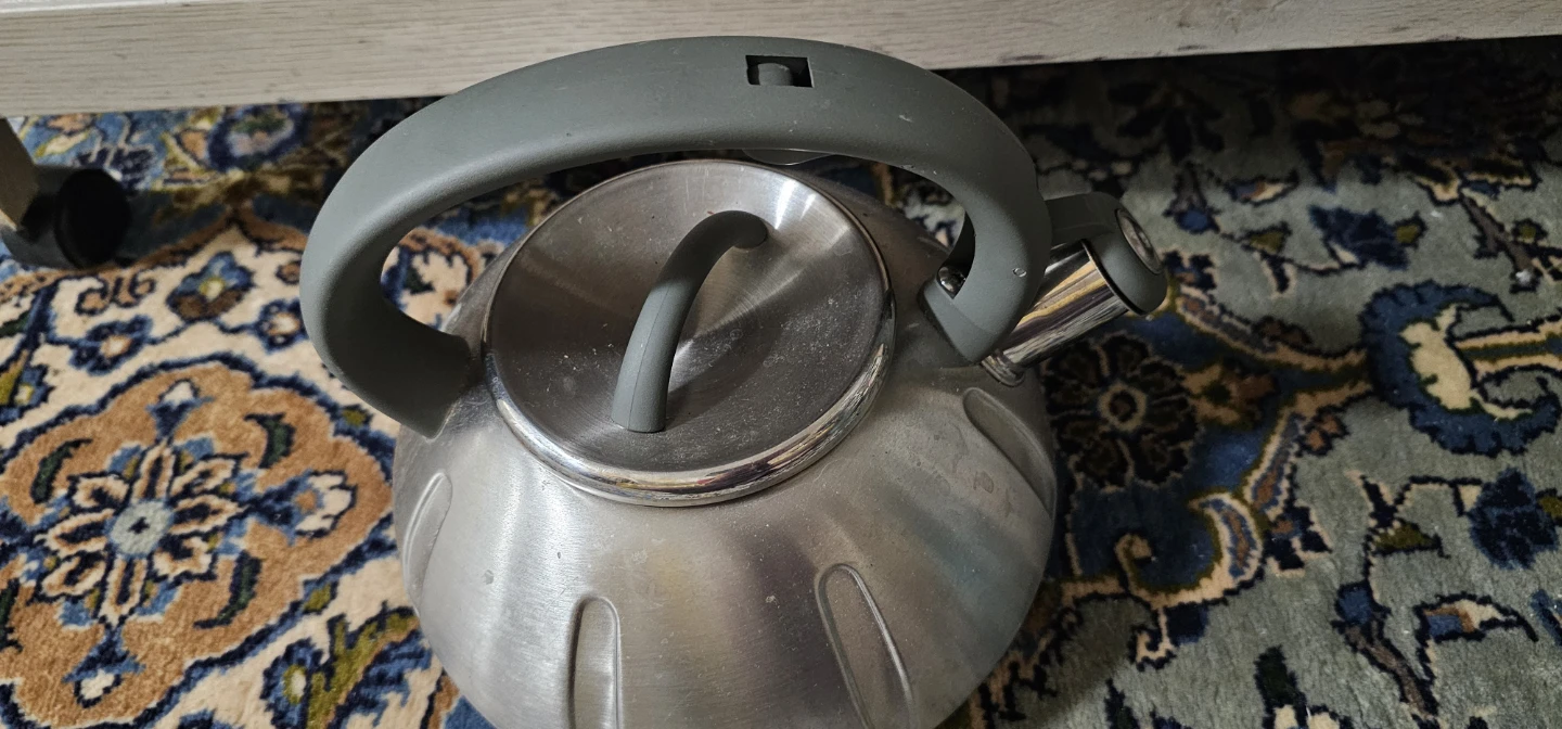 Stainless Steel Stovetop Kettle