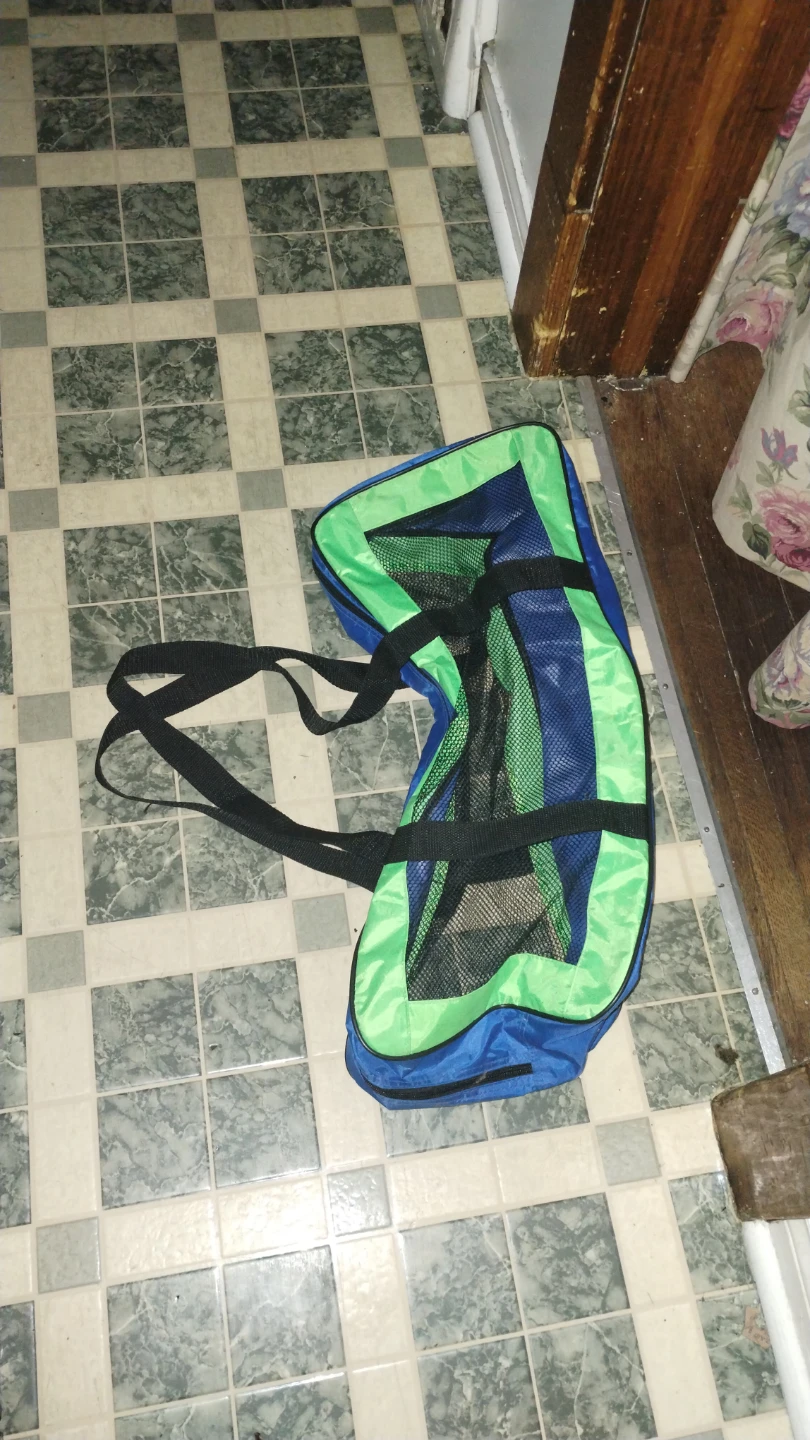 Blue and Green mesh Carrier Bag
