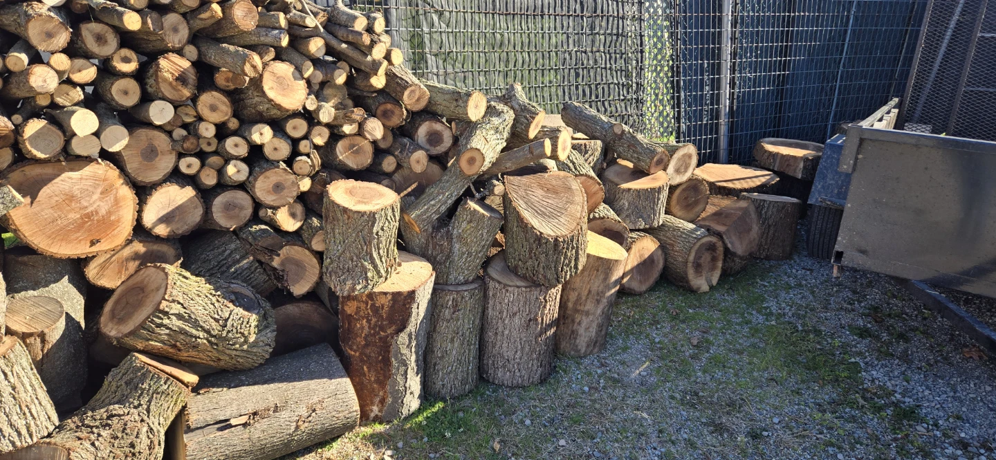Firewood Logs - photo 3